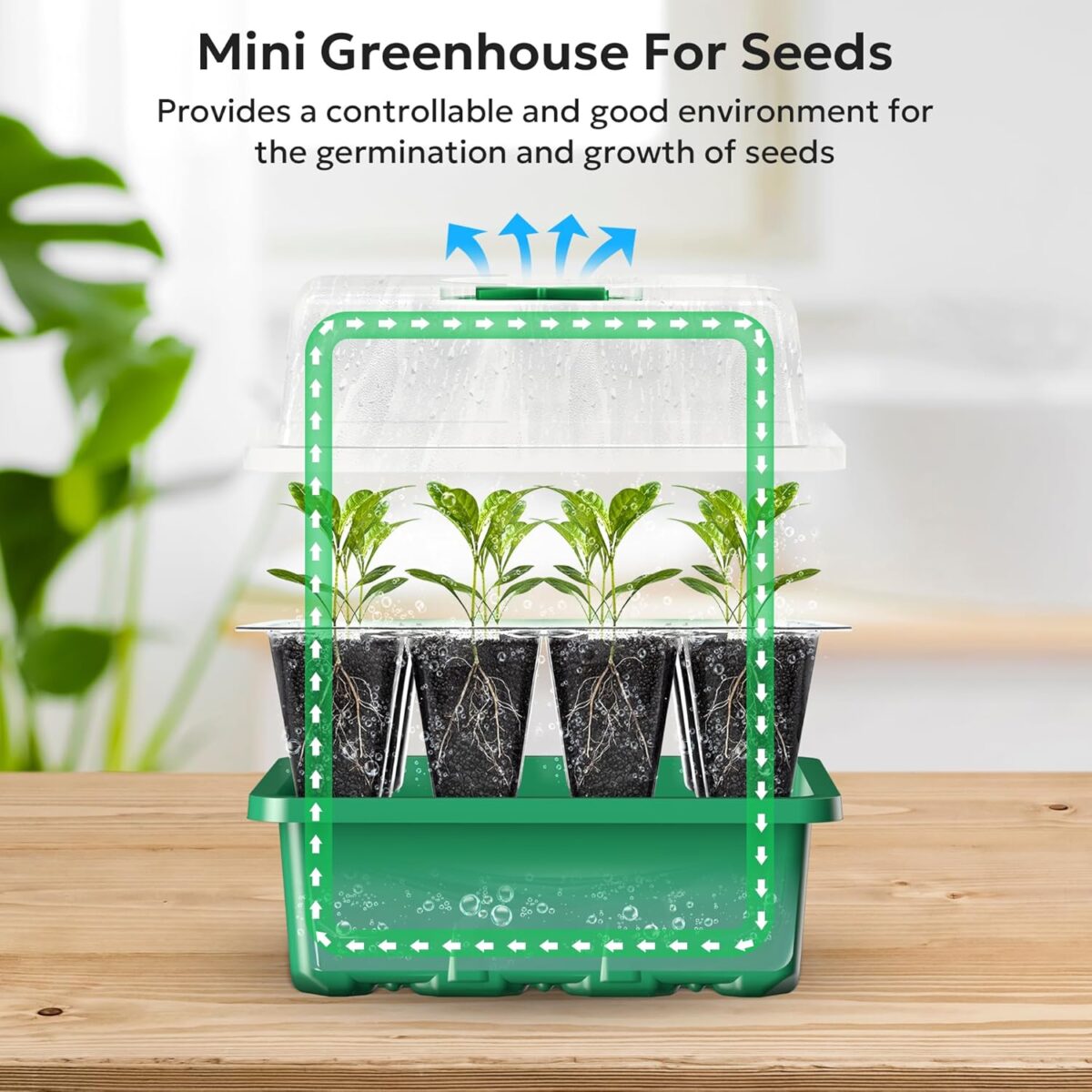 MIXC 10 Packs Seed Starter Tray Seed Starter Kit with Humidity Dome (120 Cells Total Tray) Seed Starting Trays Plant Starter Kit and Base Mini Greenhouse Germination Kit for Seeds Growing Starting - Image 4