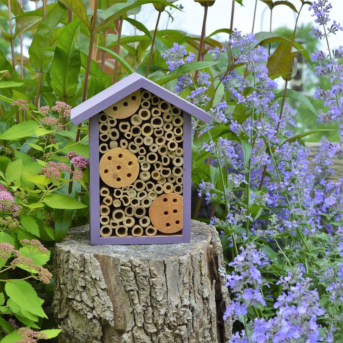 Nature's Way Bird Products PWH1-B Purple Bee House - Image 8