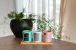 SoftOwl Premium Soy Candle Making Kit - Full Set - Soy Wax, Big 7oz Jars & Tins, 7 Pleasant Scents, Color Dyes & More - Perfect as Home Decorations - DIY Starter Scented Candles Making Kit - Image 9