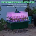 Bonviee 5 Packs Seed Starter Tray with Plant Light, Elevated Seedling Starter Trays Kits with Adjustable Humidity Domes and Clear Cell Tray, 12 Full Spectrum led lamp Beads for Plants Indoor-Green - Image 8