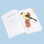 The Field Guide to Dumb Birds of North America (Bird Books, Books for Bird Lovers, Humor Books) - Image 6