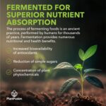 PlantFusion Alkalizing Super Greens Powder - Fermented Greens Superfood Powder Blend with Digestive Enzymes Probiotics & Prebiotic Fiber - Organic, Non-GMO, Vegan, Gluten-Free - 8.46 oz 30 Servings - Image 5