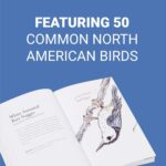The Field Guide to Dumb Birds of North America (Bird Books, Books for Bird Lovers, Humor Books) - Image 3