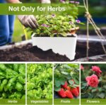 Herb Garden Planter Indoor Kit Self Watering Pots for Indoor/Outdoor Plants 2 Packs Windowsill Plant Pots with Drainage and Tray, Window Pot for Indoor Plants - Image 5