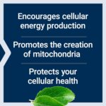 Life Extension Mitochondrial Energy Optimizer with PQQ – For Heart & Brain Health, Energy Management and Anti-Aging - Gluten-Free, Non-GMO, Vegetarian – 120 Capsules - Image 4