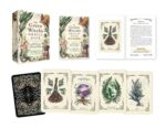 The Green Witch's Oracle Deck: Embrace the Wisdom and Insight of Natural Magic (Green Witch Witchcraft Series) - Image 2