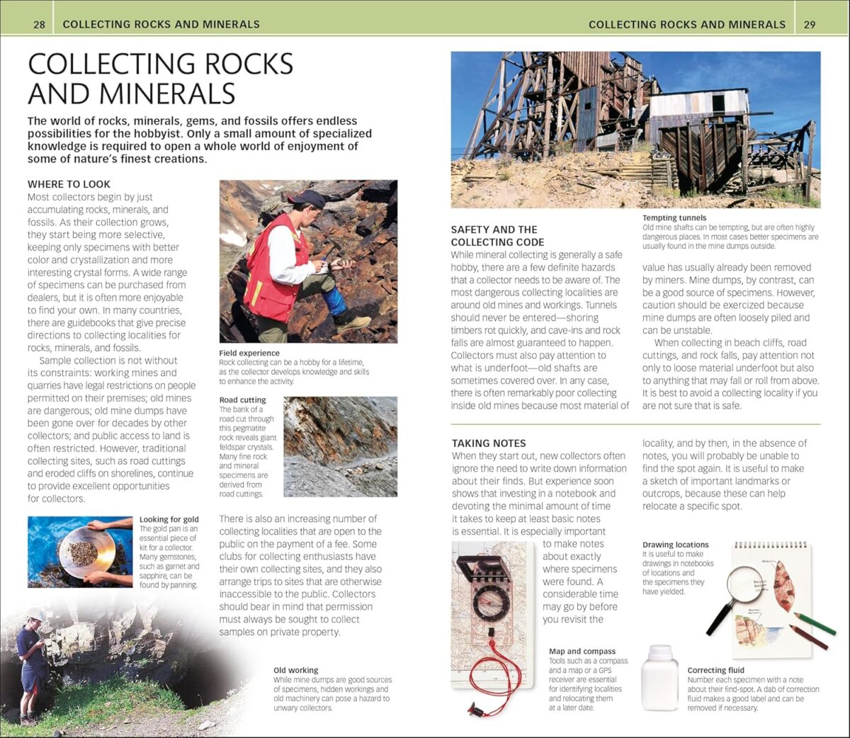 Nature Guide: Rocks and Minerals: The World in Your Hands (DK Nature Guides) - Image 4
