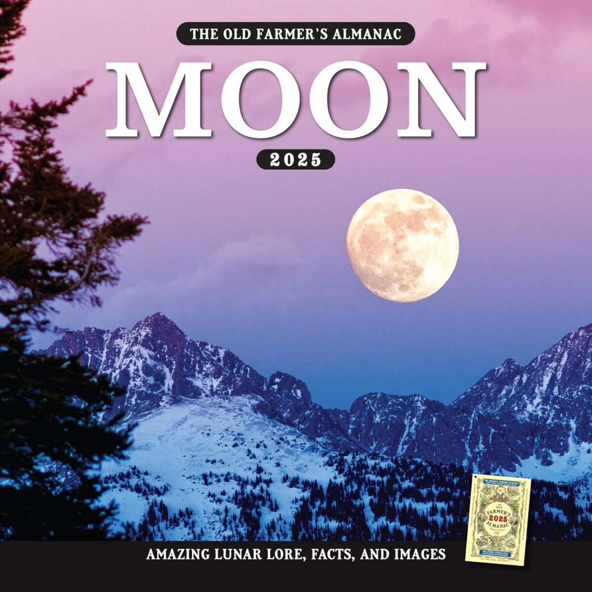 The 2025 Old Farmer's Almanac Moon Wall Calendar - Image 1