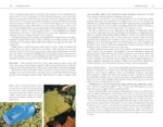 Edible Wild Plants: A North American Field Guide to Over 200 Natural Foods - Image 9
