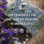 P&J Trading Nature Set of 6 Premium Grade Fragrance Oils - Forest Pine, Ocean Breeze, Rain, Fresh Cut Grass, Sandalwood, Bamboo - 10ml - Image 2