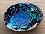 Abalone Shell, Seashell Incense Burner, Smudge Bowl for Holding Smudge Sticks, Incense, Crafts, Display, Jumbo - 7" to 8" - Image 2