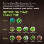 PlantFusion Alkalizing Super Greens Powder - Fermented Greens Superfood Powder Blend with Digestive Enzymes Probiotics & Prebiotic Fiber - Organic, Non-GMO, Vegan, Gluten-Free - 8.46 oz 30 Servings - Image 4