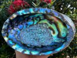 Abalone Shell, Seashell Incense Burner, Smudge Bowl for Holding Smudge Sticks, Incense, Crafts, Display, Jumbo - 7" to 8" - Image 3