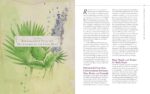 Body into Balance: An Herbal Guide to Holistic Self-Care - Image 16