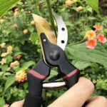 gonicc 8" Professional Premium Titanium Bypass Pruning Shears (GPPS-1003), Hand Pruners, Garden Clippers. - Image 6