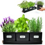 Herb Planter Indoor - Set of 3 Black Indoor Herb Garden Pots for Plants with Leather Handled Tray - Window Sill Plant Shelf - Pots with Drainage Holes and Labels
