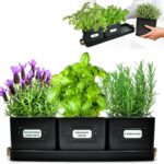 Herb Planter Indoor - Set of 3 Black Indoor Herb Garden Pots for Plants with Leather Handled Tray - Window Sill Plant Shelf - Pots with Drainage Holes and Labels