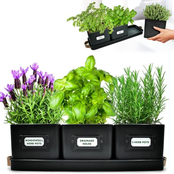 Herb Planter Indoor - Set of 3 Black Indoor Herb Garden Pots for Plants with Leather Handled Tray - Window Sill Plant Shelf - Pots with Drainage Holes and Labels