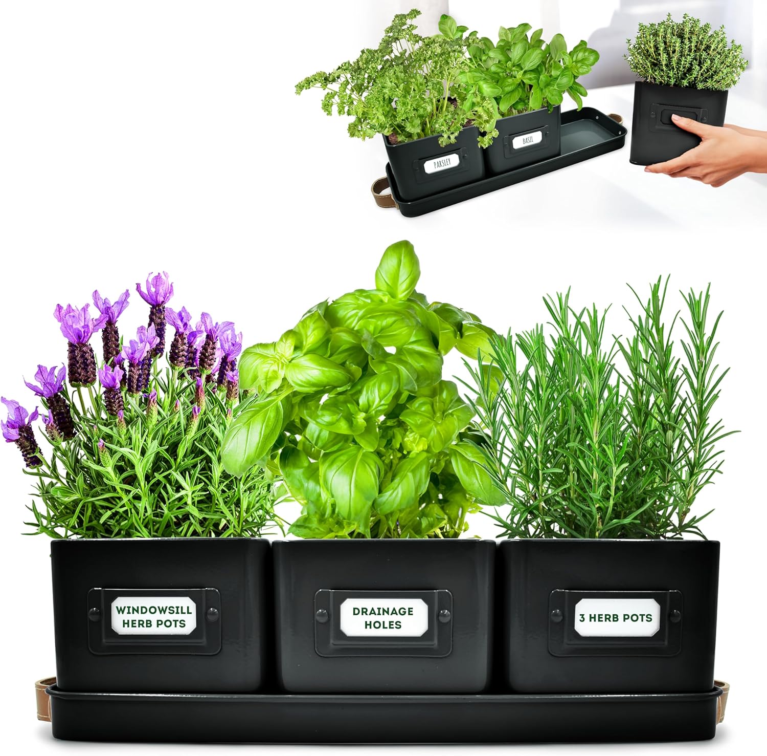 91GWewQP8SL._AC_SL1500_.jpg Herb Planter Indoor - Set of 3 Black Indoor Herb Garden Pots for Plants with Leather Handled Tray - Window Sill Plant Shelf - Pots with Drainage Holes and Labels - Image 1