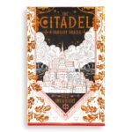 The Citadel Oracle Deck: A Fantasy Oracle Deck (60 Oracle Cards & Guidebook) (Folk Magic) - Image 10