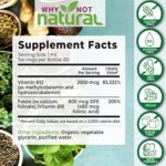 Why Not Natural Vitamin B12 Liquid Plus Folate - Organic Sublingual Extra Strength Vegan Drops - Methyl Supplement with Folinic - Image 2