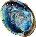 Hand Selected Abalone Shell, 6 Inches or Larger. Perfect for Holding Incense, Trinkets, and More - Image 4