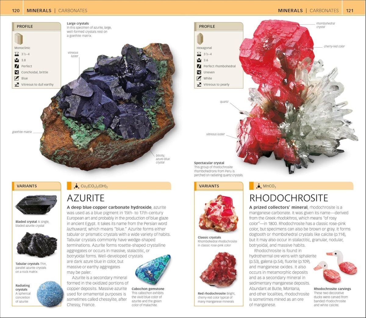 Nature Guide: Rocks and Minerals: The World in Your Hands (DK Nature Guides) - Image 6