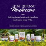 Host Defense Mushrooms Lion's Mane - Supplement Capsules for Brain Health Support - Mushroom Support for Focus & Memory Function - Immune & Nervous System Supplement - 120 Capsules (60 Servings) - Image 7