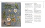Body into Balance: An Herbal Guide to Holistic Self-Care - Image 11