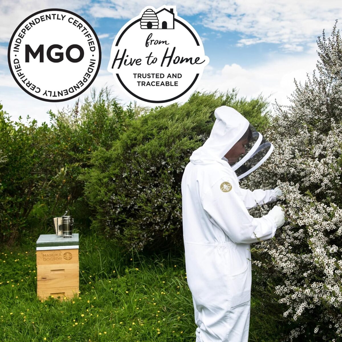 MANUKA DOCTOR - MGO 925+ Manuka Honey Monofloral, 100% Pure New Zealand Honey. Certified. Guaranteed. RAW. Non-GMO (8.75 oz) - Image 7