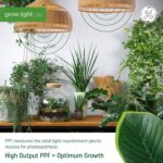 GE Grow Lights for Indoor Plants, BR30 Indoor Floodlight, LED Light Bulbs for Seeds and Greens with Balanced Spectrum, 25,000 Hours Lifespan, 16 PPF, 2 Pack (Packaging May Vary) - Image 3