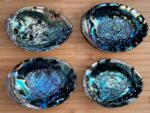 Abalone Shell, Seashell Incense Burner, Smudge Bowl for Holding Smudge Sticks, Incense, Crafts, Display, Jumbo - 7" to 8" - Image 8