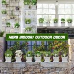 Herb Grow Kit, 10 Herb Seeds DIY Garden Starter Kit, Complete Potted Plant Growing Set Including White Pots, Markers, Nutritional Soil, Watering, Clipper for Kitchen Herb - Image 4