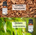 PURA D'OR Organic Perfect10 Essential Oils Set - 10x 10mL Wood Box Aromatherapy Gift Set - 100% Pure Therapeutic Grade for Relaxation and Wellness (Lavender, Peppermint, Eucalyptus, Tea Tree & More) - Image 3
