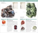 Nature Guide: Rocks and Minerals: The World in Your Hands (DK Nature Guides) - Image 7