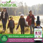 Why Not Natural Vitamin B12 Liquid Plus Folate - Organic Sublingual Extra Strength Vegan Drops - Methyl Supplement with Folinic - Image 3