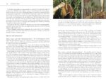 Edible Wild Plants: A North American Field Guide to Over 200 Natural Foods - Image 8