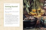 The Modern Herbal Dispensatory: A Medicine-Making Guide - Image 7