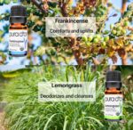 PURA D'OR Organic Perfect10 Essential Oils Set - 10x 10mL Wood Box Aromatherapy Gift Set - 100% Pure Therapeutic Grade for Relaxation and Wellness (Lavender, Peppermint, Eucalyptus, Tea Tree & More) - Image 4