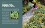 Rosemary Gladstar's Medicinal Herbs: A Beginner's Guide: 33 Healing Herbs to Know, Grow, and Use - Image 2