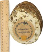 Hand Selected Abalone Shell, 6 Inches or Larger. Perfect for Holding Incense, Trinkets, and More - Image 2