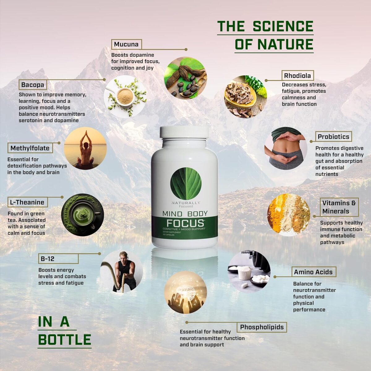 Mind Body Focus | Natural Nootropic Brain Supplement for Focus, Memory and Mood Support - Mental Clarity, Concentration and Cognitive Performance with Mucuna, Bacopa, Rhodiola, Phosphatidylcholine - Image 3