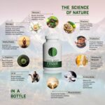 Mind Body Focus | Natural Nootropic Brain Supplement for Focus, Memory and Mood Support - Mental Clarity, Concentration and Cognitive Performance with Mucuna, Bacopa, Rhodiola, Phosphatidylcholine - Image 3