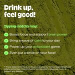MATCHA DNA Certified Organic Matcha Green Tea Powder (16 oz TIN CAN) - Image 6