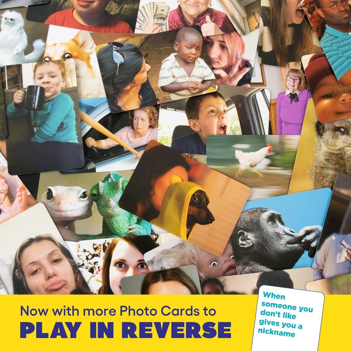 WHAT DO YOU MEME? Family Edition by Relatable, Now with Refreshed Content - Kids Games 8+, Family Games for Kids and Adults, Easter Basket Stuffers, Includes 300 Caption Cards, 108 Photo Cards - Image 4