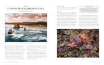 National Geographic Bucket List Family Travel: Share the World With Your Kids on 50 Adventures of a Lifetime - Image 16