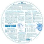 Guide to the Stars - Image 2