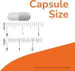NOW Foods Supplements, Ginkgo Biloba 120 mg, Double Strength, Non-GMO Project Verified, 100 Veg Capsules - Image 3