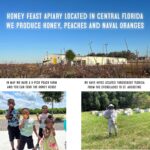 Honey Feast - Raw Wildflower Honey | from American Organic floral sources | 48 Ounces - Image 3