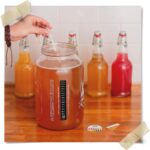 Kombucha Essentials Kit - Includes USDA Organic Kombucha SCOBY + 1-Gallon Glass Fermenting Jar with Breathable Cover + pH Strips + Rubber Band + Adhesive Thermometer - Brew kombucha at Home - Image 7